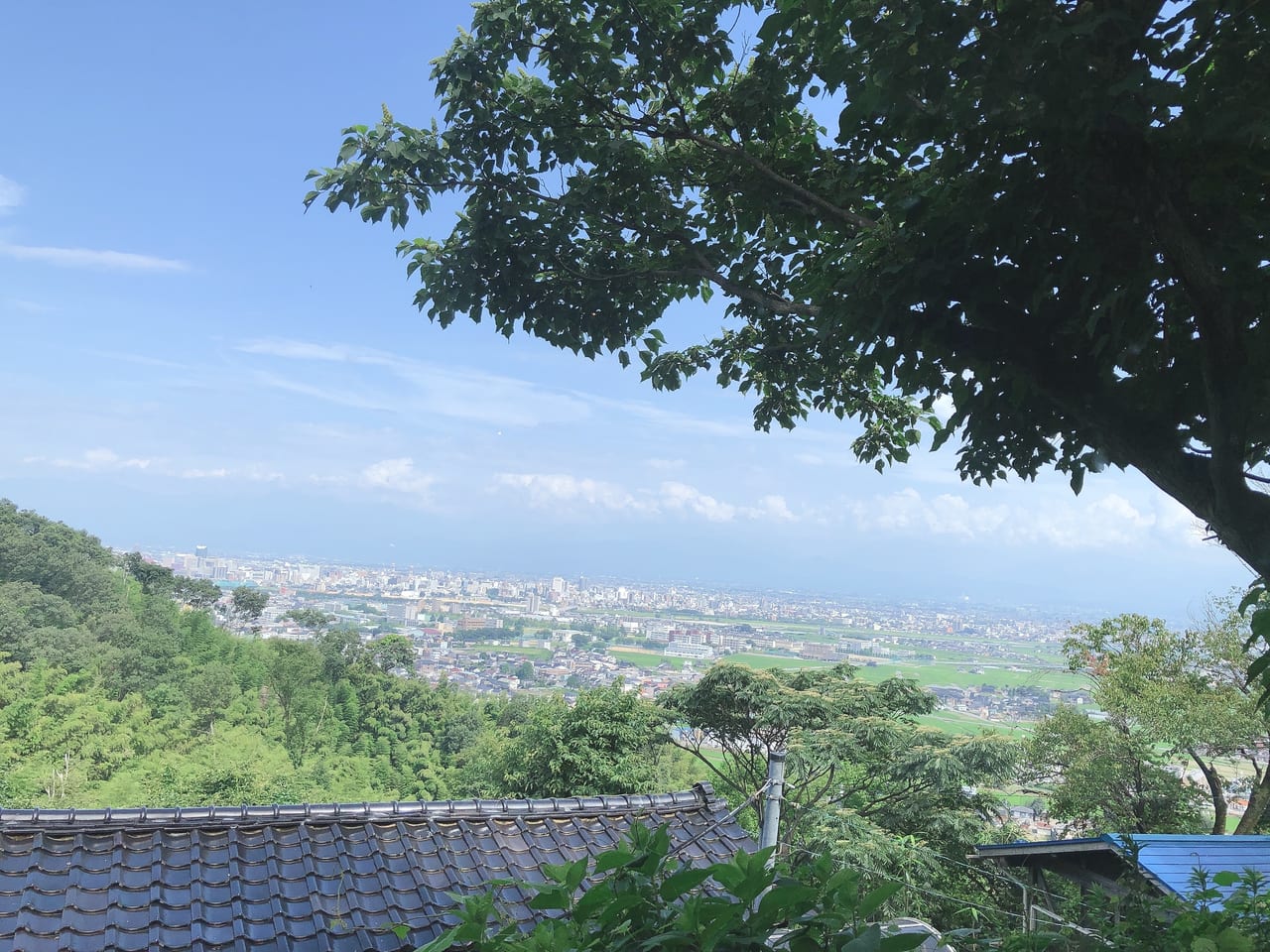 空の森から見える景色