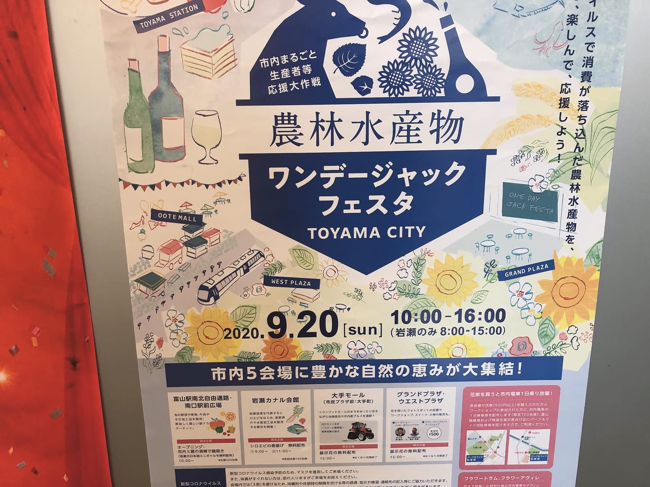 ワンデージャックフェスタ開催！
