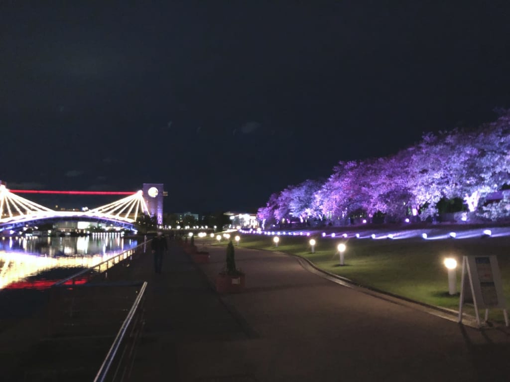 環水公園のライトアップ