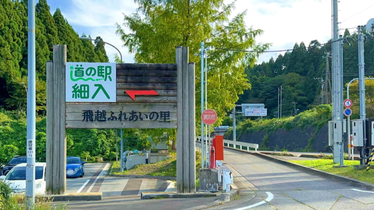 道の駅細入看板