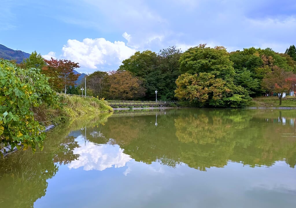 天湖森の土田池