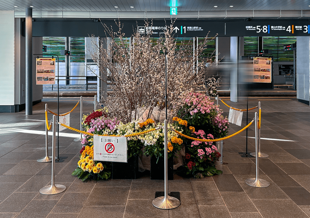 富山駅ナカの啓翁桜