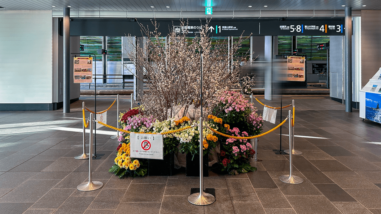 富山駅ナカの啓翁桜