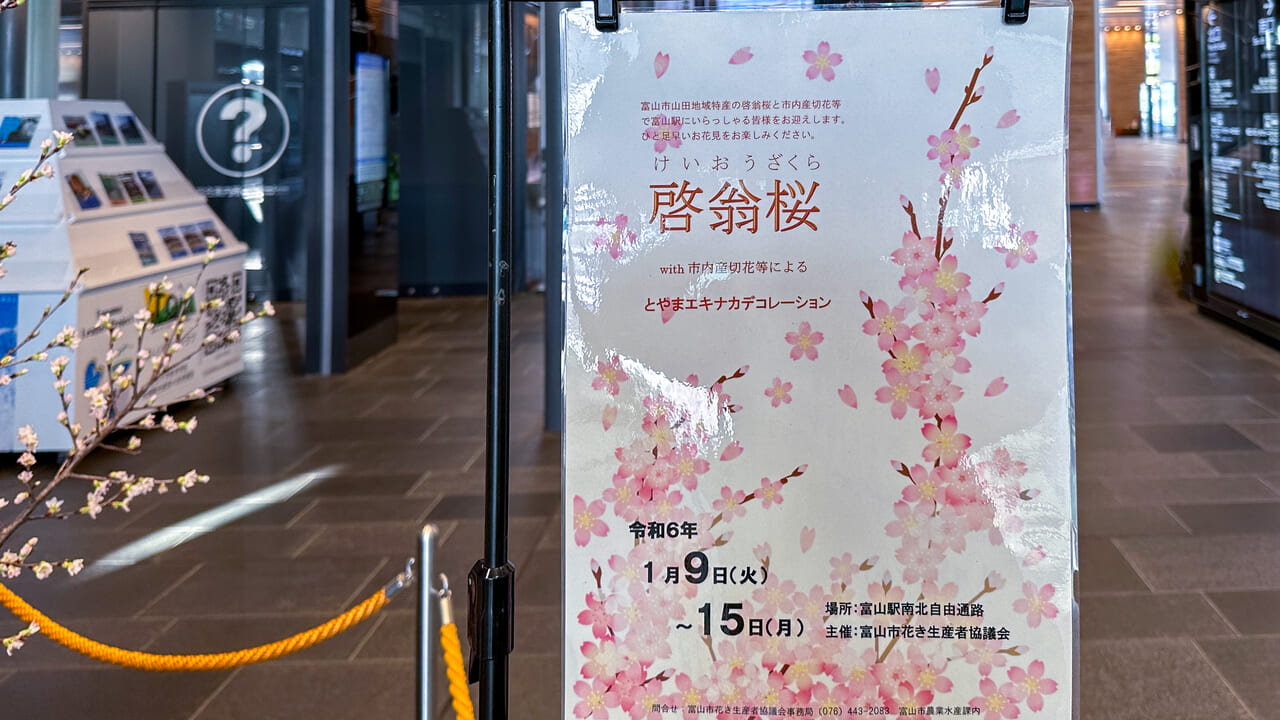 富山駅ナカ啓翁桜ポスター