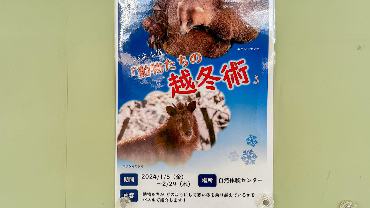 動物たちの越冬術ポスター