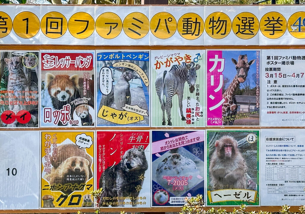 ファミパ動物選挙の看板