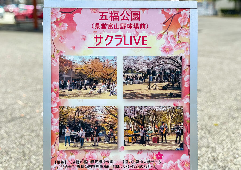 サクラLIVEの告知ポスター