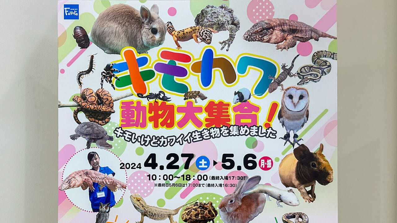 キモカワ動物大集合！のイベントポスター