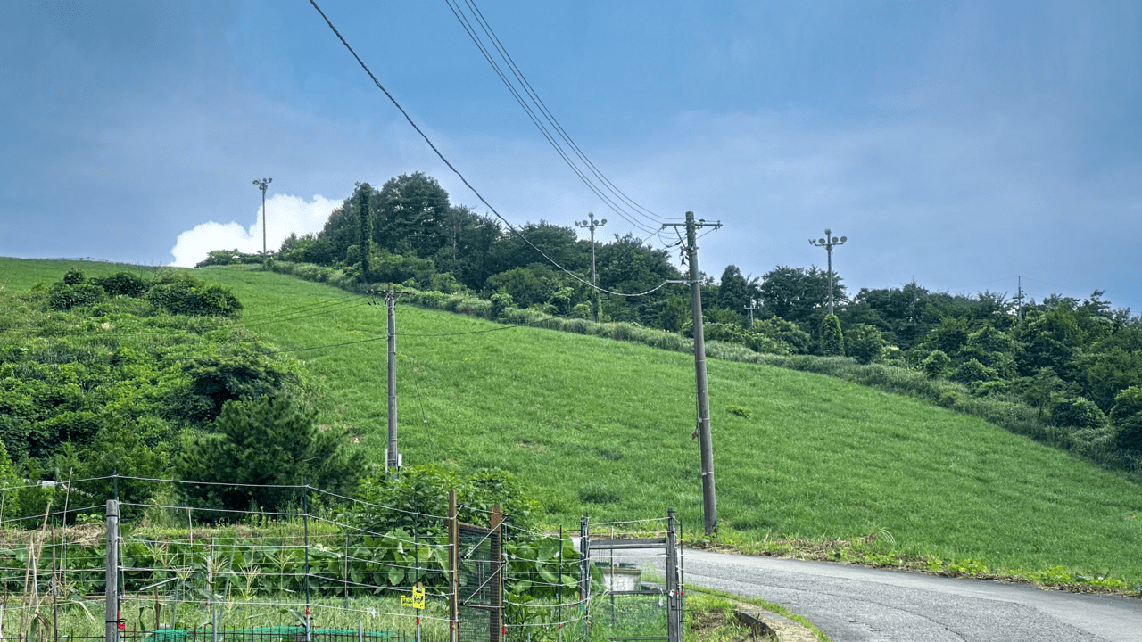 旧猿倉山スキー場の様子